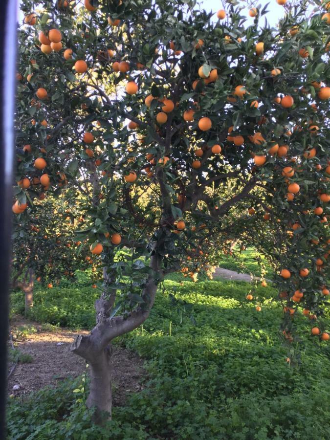 Penzion El Cortijo De La Abuela Benahadux Exteriér fotografie
