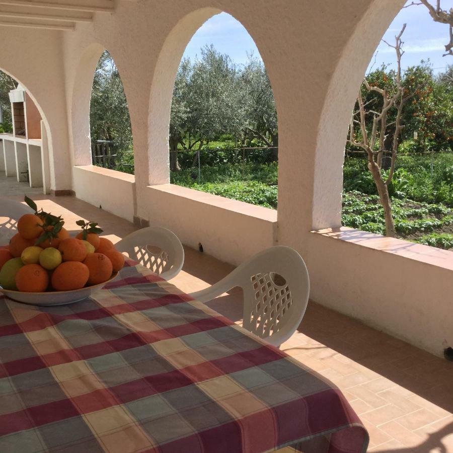 Penzion El Cortijo De La Abuela Benahadux Exteriér fotografie
