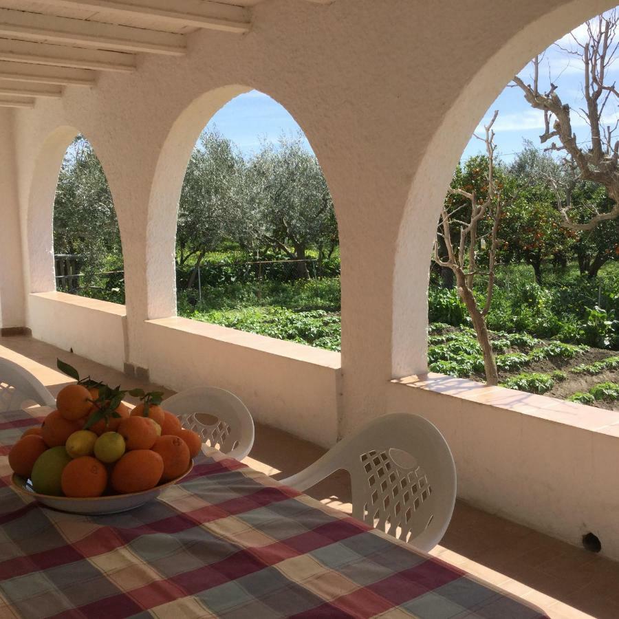 Penzion El Cortijo De La Abuela Benahadux Exteriér fotografie